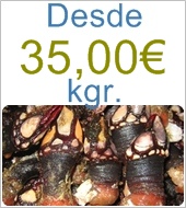 PERCEBE